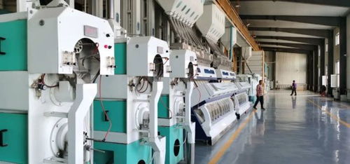 两会纵深丨加强数字化布局 升级龙江传统产业 代表委员热议数字经济与数字技术服务